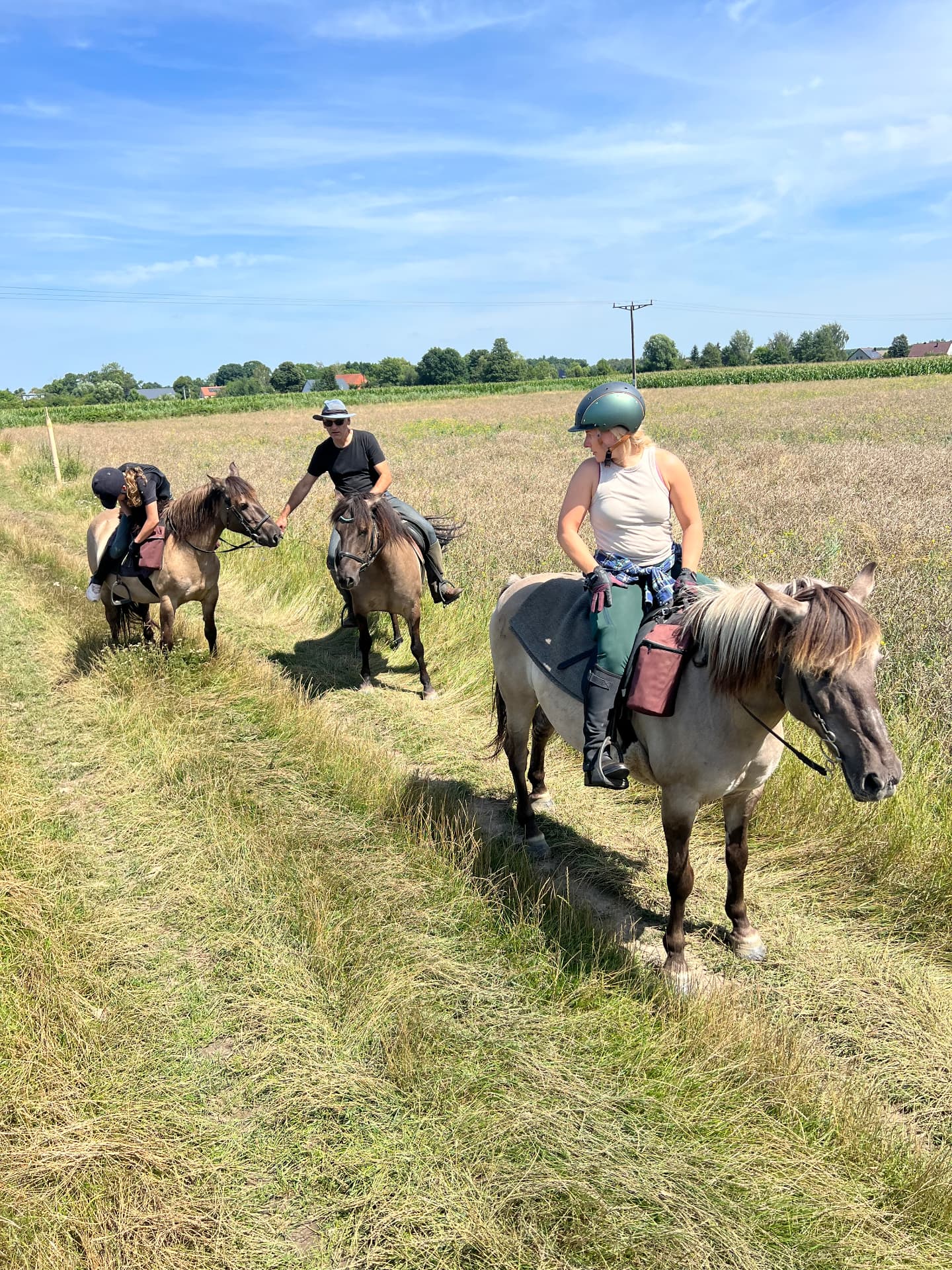 Grupa jeźdźców na koniach w polach